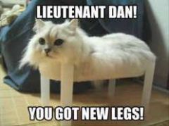 Lieutenant Dan !