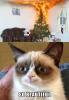 funny-picture-grumpy-cat-new-year-tree-fire.jpg